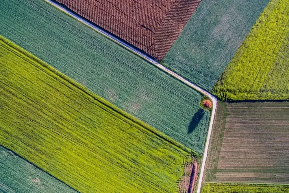 Étudiant engagé dans l'apprentissage en ligne sur un ordinateur portable, symbolisant le modèle éducatif flexible et à votre rythme de l'IUDI