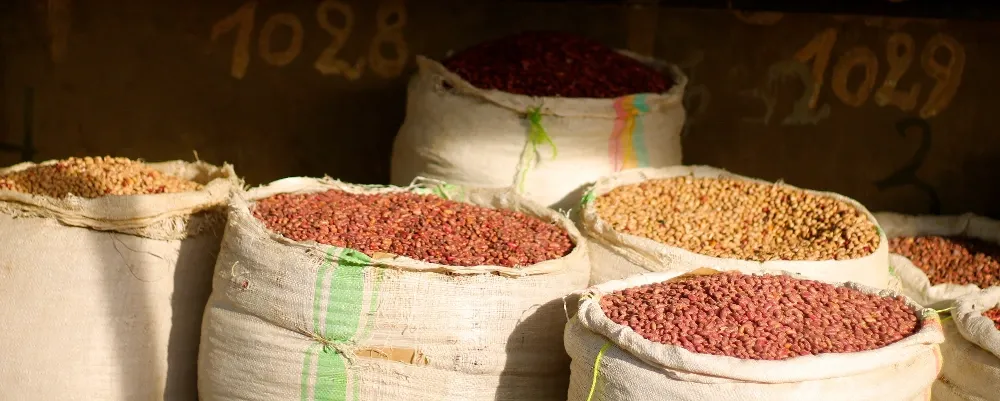 Graphique illustrant des pièces de monnaie et un calcul financier pour symboliser la transparence des frais à l'IUDI